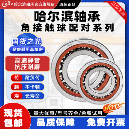 ZXRZ哈尔滨轴承 7206 7207 7208 7209 7210 ACTA P5配对 DB DF DT