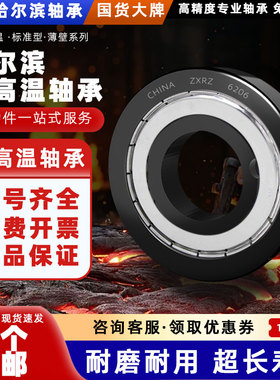 ZXRZ耐高温轴承600300度 6020 6021 6022 6024 6026 6028 6030