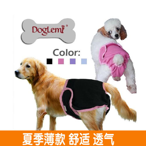 狗狗裤子质量怎么样 狗狗裤子口碑怎么样 小麦优选