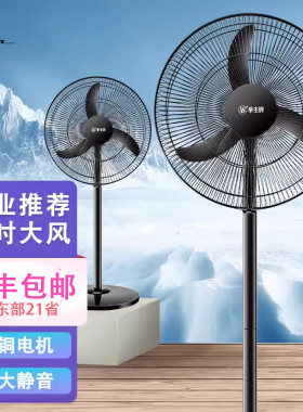 华生静音遥控落地电风扇大风力