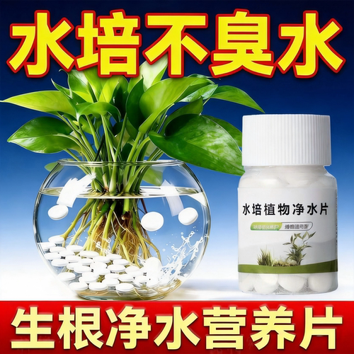 植物保鲜碗莲水培植物专用净水片
