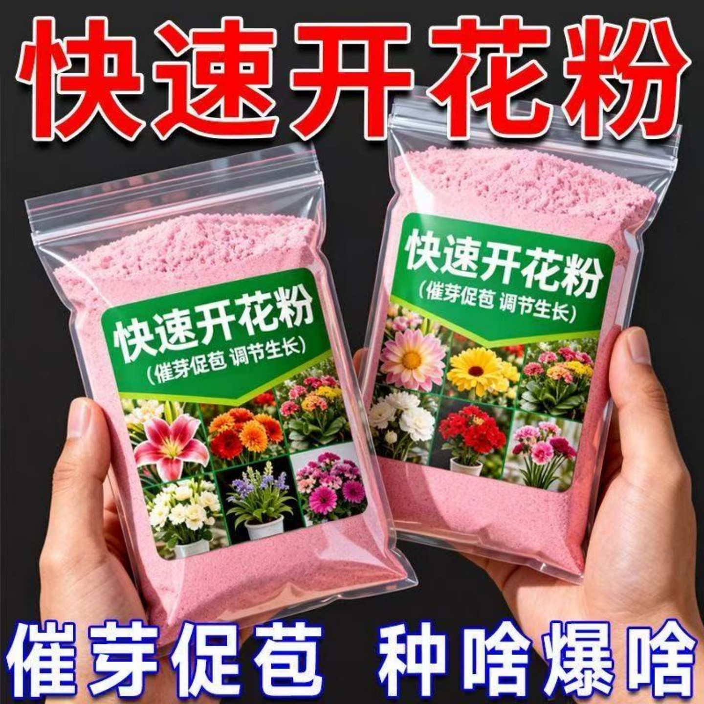 【快速开花粉】通用型家庭花园肥玫瑰月季茶花水溶肥料盆栽三角梅