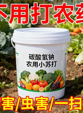 农用小苏打粉碳酸氢钠种菜除杀菌去药残留作物预防蔬瓜果树壮苗