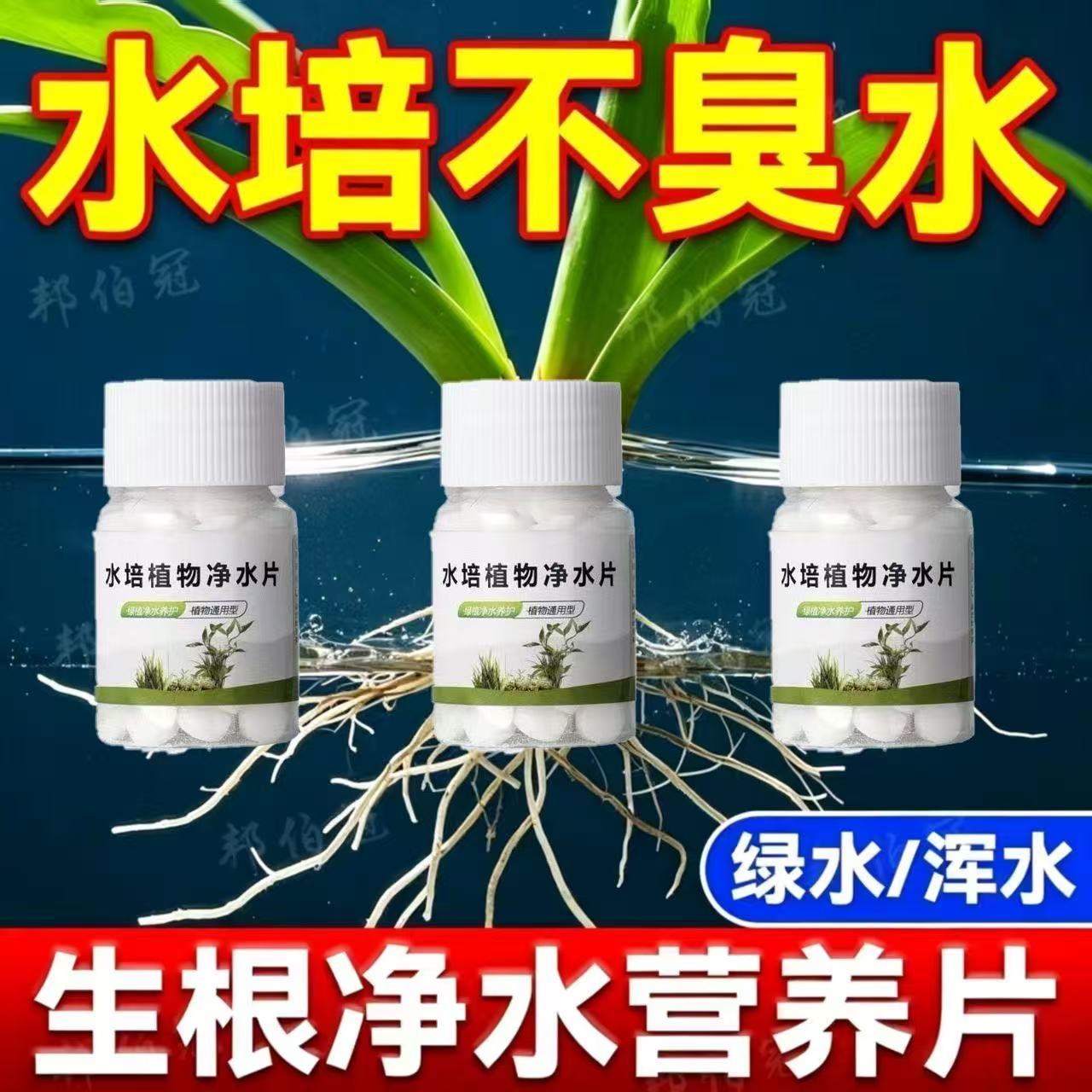 鲜花绿植净水片养花绿植专用