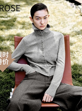 艾诺丝尚忆2025秋季新款修身显瘦单排扣高领针织衫女毛衣804173