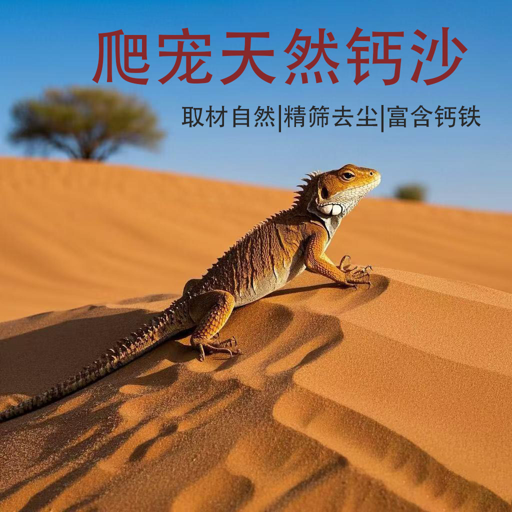 天然沙漠沙子鬓狮爬虫沙砂爬虫沙子钙沙蜥蜴守宫沙造景蝎子爬虫