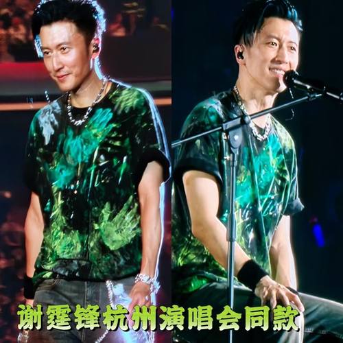 2025谢霆锋杭州演唱会同款泼墨短袖t恤洗水做旧纯棉Evolution进化