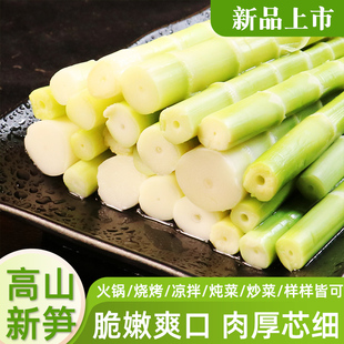 高山翡翠绿笋尖野生竹笋新鲜嫩笋片串串麻辣烫火锅食材罗汉笋四川