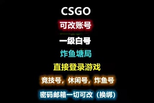 csgo白号国际服1级小号使用可改一切steam账户小号白号空号6