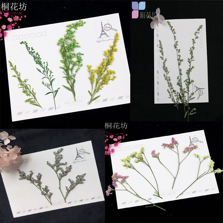 情人草薰衣草勿忘我 押花压花干花植物标本画diy贺卡蜡烛手工制作