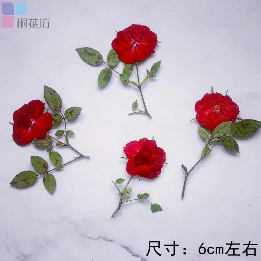 一支玫瑰花 带枝正红色月季花标本干花押花平面滴胶胸针材料diy