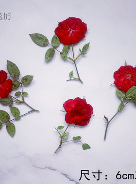 一支玫瑰花 带枝正红色月季花标本干花押花平面滴胶胸针材料diy
