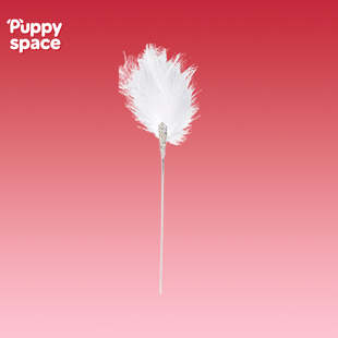 Puppy space小狗空间 羽毛棒情侣升温约会互动小玩具羽毛触挠专用