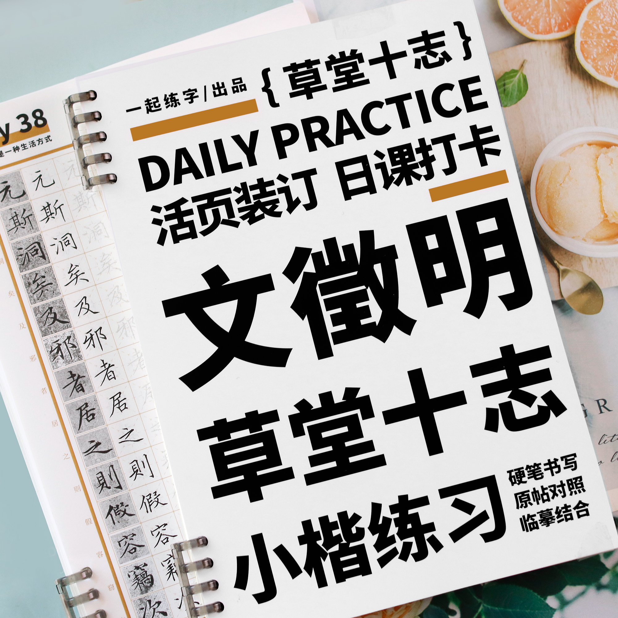 一起练字文徵明小楷草堂十志