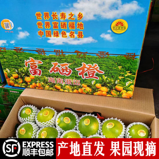 正宗海南澄迈福橙8斤礼盒一级大果新鲜富硒绿橙水果橙子顺丰包邮