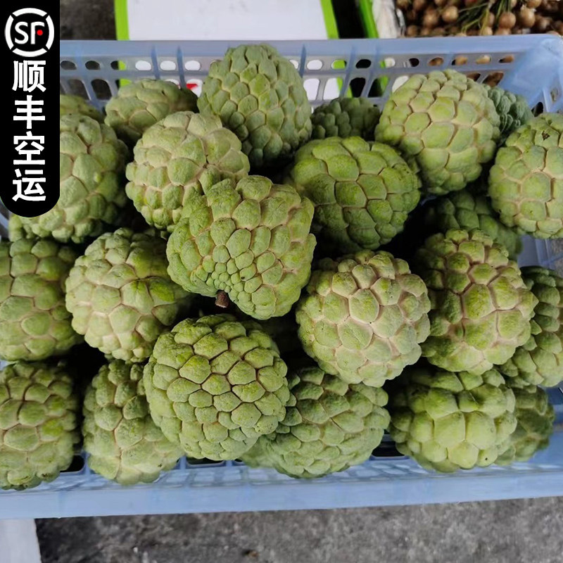 【顺丰空运】大目释迦果大果新鲜
