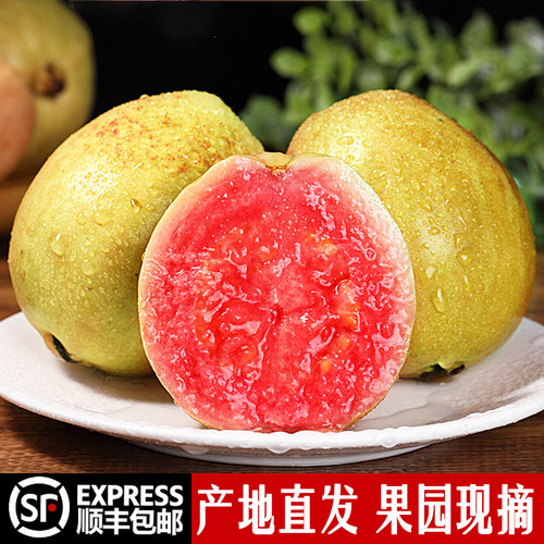 福建软糯红心芭乐9斤新鲜水果