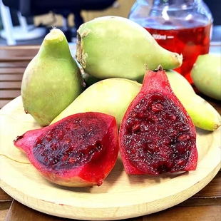 海南野生仙人掌果仙桃新鮮現(xiàn)摘應(yīng)當(dāng)季 熱帶水果稀奇古怪沒吃過水果