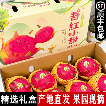 【海南红心火龙果】8斤礼盒装金都一号当季新鲜现摘水果顺丰包邮