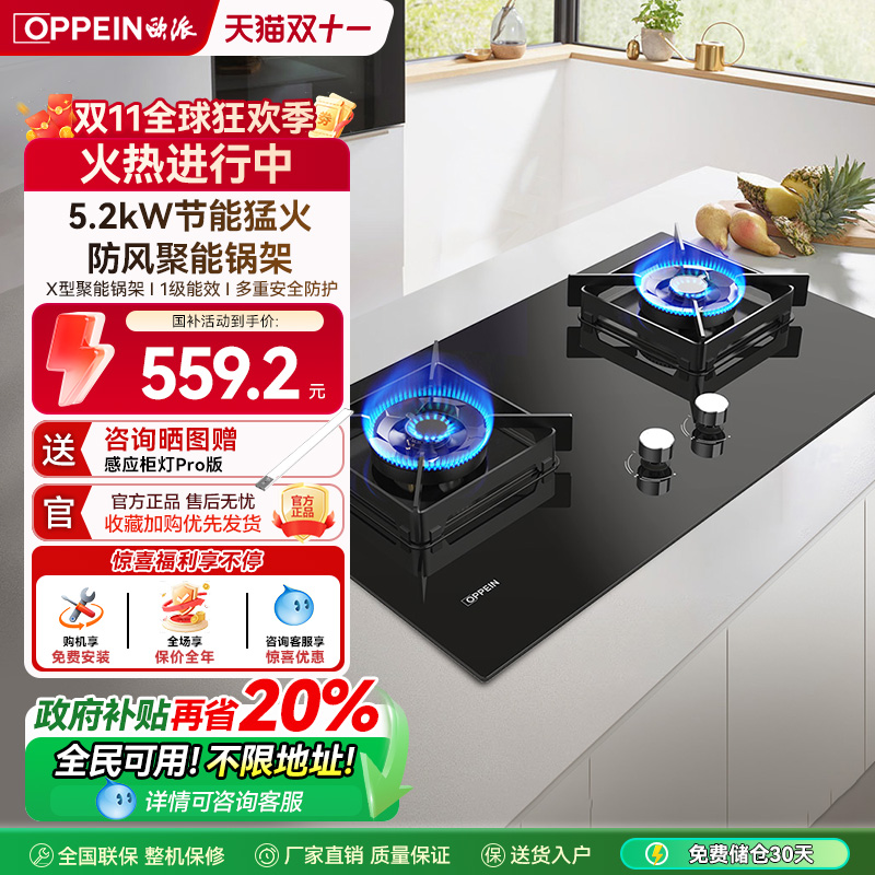 欧派燃气灶台式两用厨电