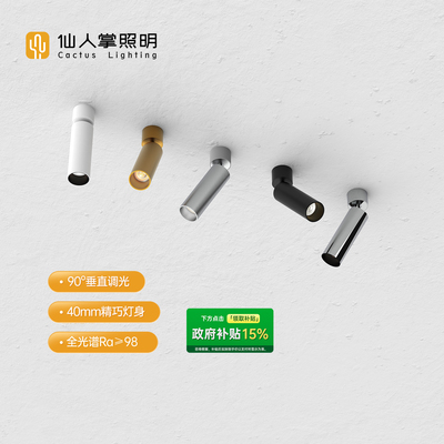 【政府补贴】仙人掌照明迷你明装40mm筒射灯中古风可调led天花灯