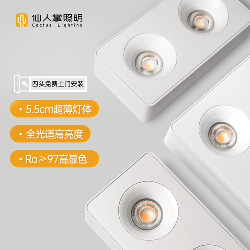 仙人掌照明超薄明装led斗胆灯