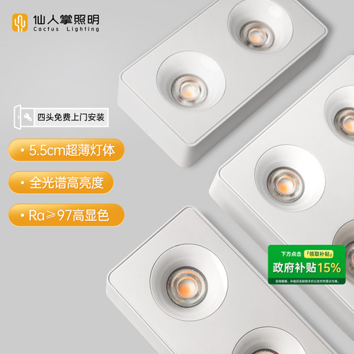 仙人掌照明超薄明装led斗胆灯
