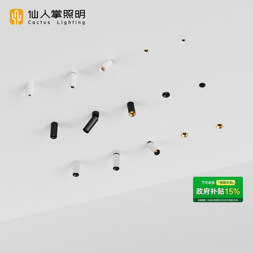 仙人掌照明45mm明装迷你射灯可调