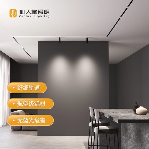 仙人掌照明嵌装纤薄磁吸轨道灯