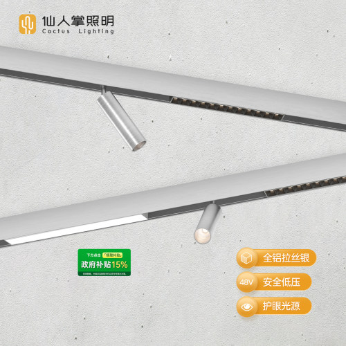 仙人掌照明拉丝银明装磁吸轨道灯
