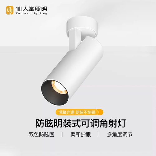 仙人掌照明可调角led明装射灯