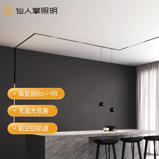 磁吸軌道燈客廳家用LED智能無主燈 仙人掌照明全光譜護眼嵌入式