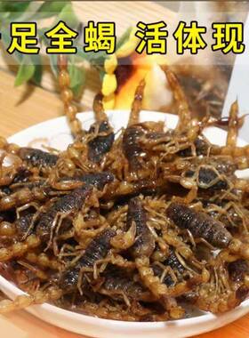 油炸蝎子十足全蝎即食活体蝎沂蒙特色小吃拍下后默认同意现炸现发