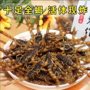 油炸蝎子十足全蝎即食活体蝎沂蒙特色小吃拍下后默认同意现炸现发