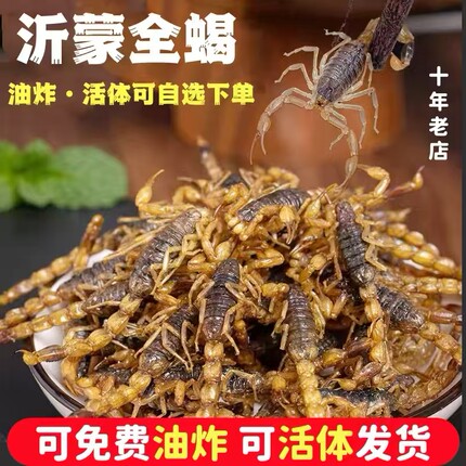活蝎子代油炸食用蝎子新鲜活体沂蒙小吃油炸蝎子活虫十足全蝎包邮
