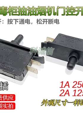 嵌入式消毒柜门控开关 门开关 KA1-1A 1A 250VAC 两脚