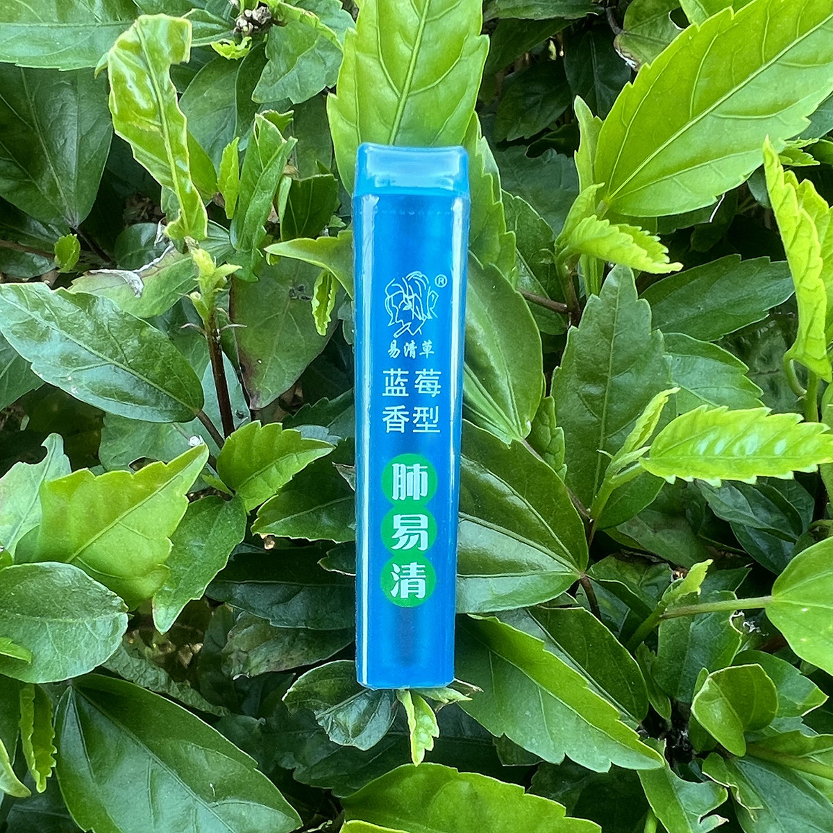 肺易清易青草蓝莓薄荷味烟沾粉 肺立清凉爽爆珠鼻烟粉 清香型fyq