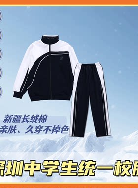拉链班服套装统一小学长袖斯坦尼