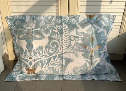 CSYP-ZT-013 绝美外单!外贸出口美国原单 纯棉单人欧枕枕套不含芯