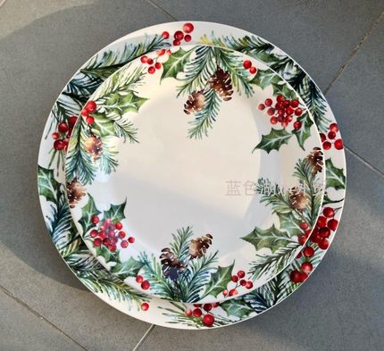 CYGJ-CQ-118 精美艺术!外贸出口美国原单 美式陶瓷餐盘盘子平盘