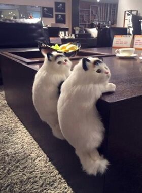 仿真猫猫毛绒玩具公仔电视机挂件