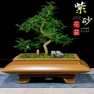 紫砂花盆三足飞碟盆景盆多肉金弹子盆栽盆菖蒲云竹盆四方盆景盆栽