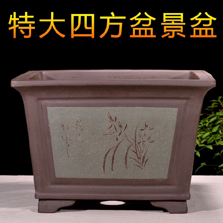 宜兴紫砂花盆特大四方盆景盆树桩盆栽陶瓷花盆正方形盆景植物花盆