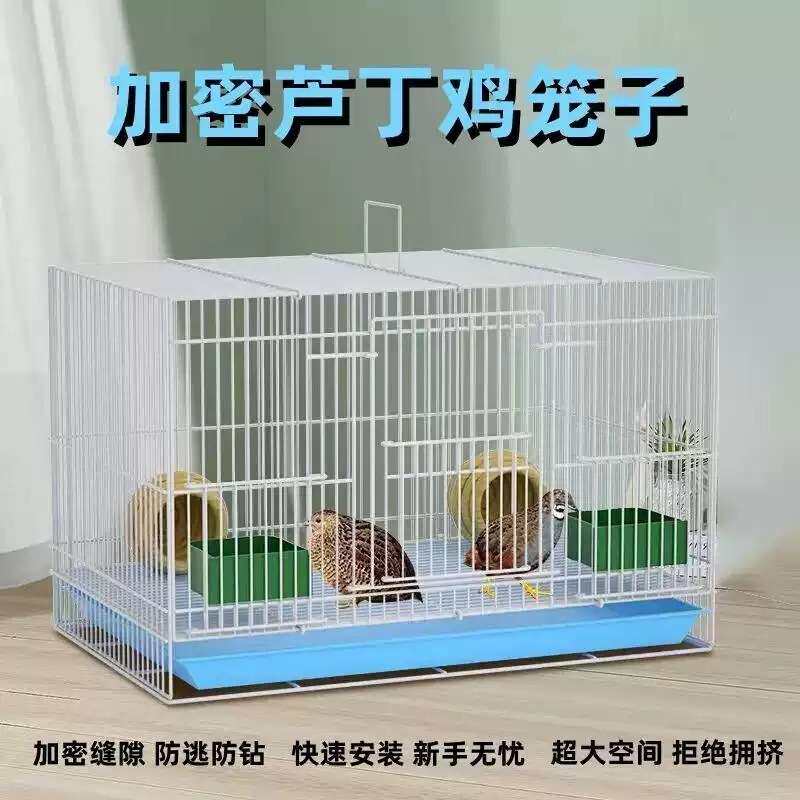 芦丁鸡专用加密大号养殖笼|家用
