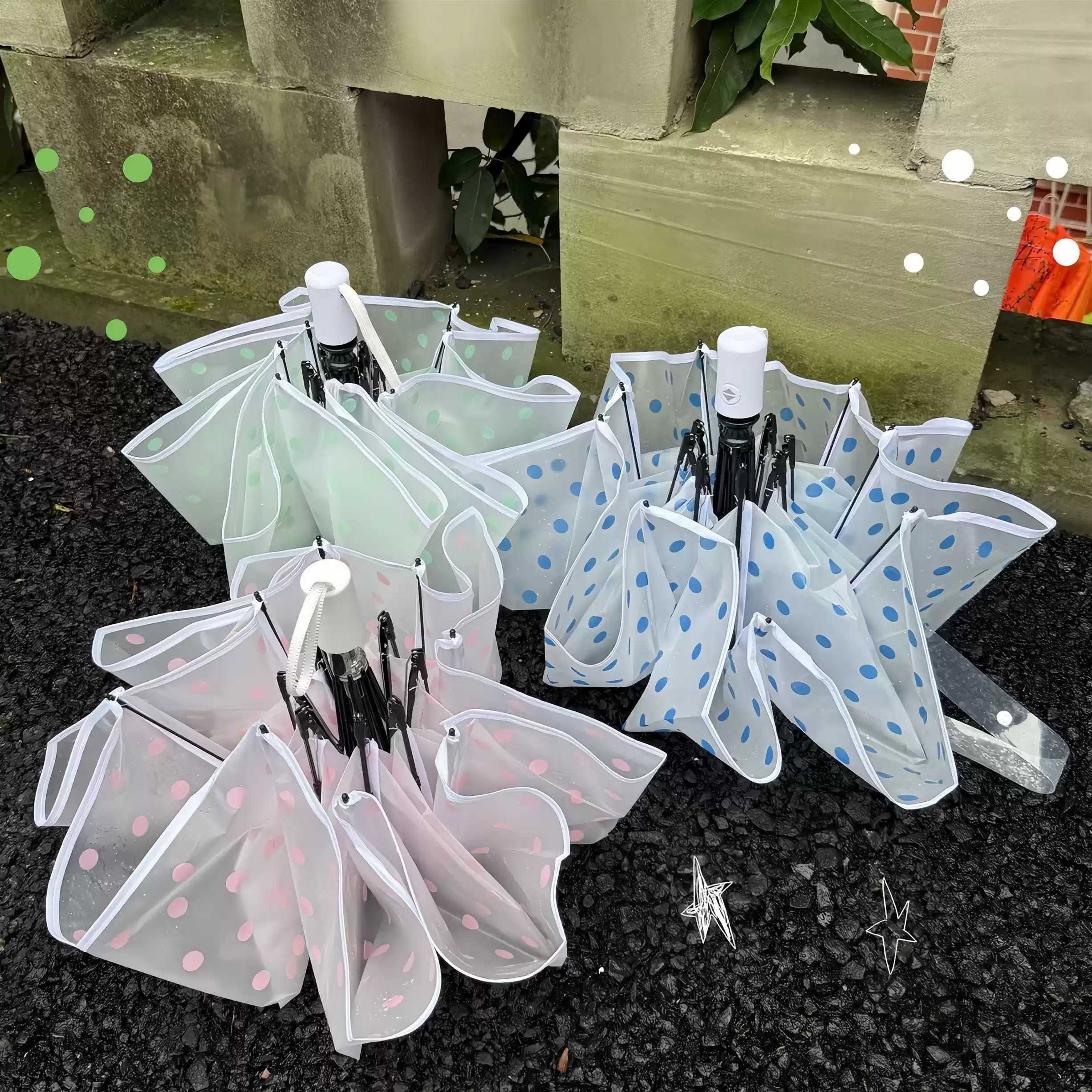 波点磨砂透明雨伞高颜值小清新