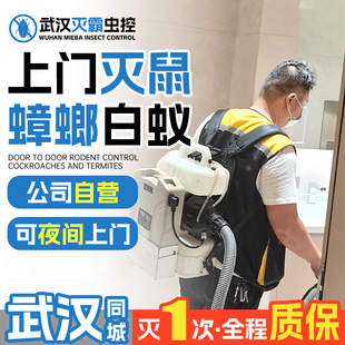 武汉除蟑螂上门灭鼠服务 专业除虫上门消杀蟑螂白蚁防治消杀公司.