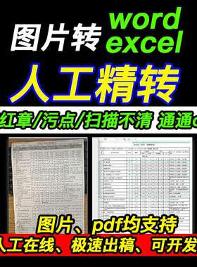 图片转换word照片pdf转excel表格人工提取文字拍照扫描件代转格式