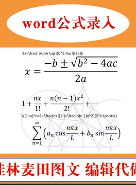 word公式录入图片公式转可编辑数学物理公式mathtype公式代打人工