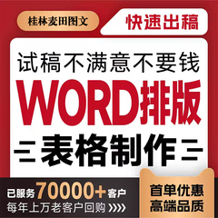 Word排版表格代做制作美化文档编辑文字录入格式工修改PDF转换wps