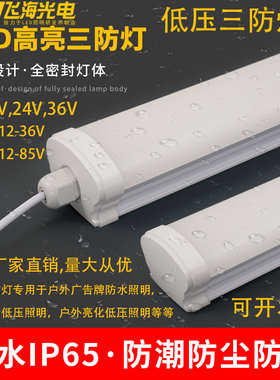 DC12V24V36V低压三防灯led长条防水防潮冷库浴室户外超亮日光灯管